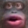 OhOh emote