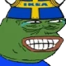 HonVetInte emote