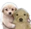 jotchuaHug emote
