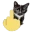 FYOUcat
