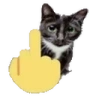 FYOUcat emote