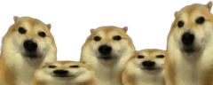 StareCouncil emote