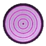 Rinnegan emote