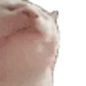 catJAMSpin emote