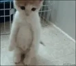 !ban emote