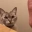 Emote