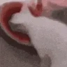MELONTIME emote
