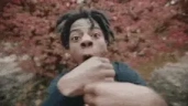heVegan emote