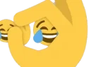 ongfrfr emote