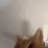 catSmash emote