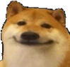 dogeSmile emote