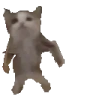 Puthy emote