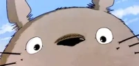 WideTotoroHappy emote