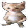 kozak emote