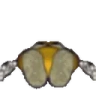 ppDone emote