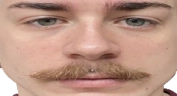 wideMangaka95 emote