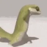 lizardJAM emote