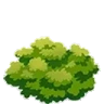 BUSH emote