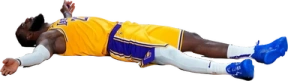 lebronF emote
