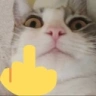 PeckyFU emote