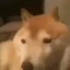 BONK