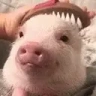 Clean emote