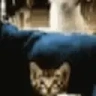 QUIET emote