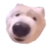 borkDog emote
