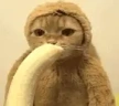 BANANY emote