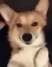 winky emote
