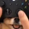 controller emote