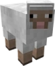 Sheep emote