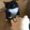 highFive emote