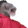 SHOOOOSH emote