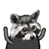 RaccTANTIES emote