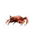 crabRave emote