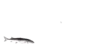 MiniJoel emote