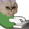 Catting emote