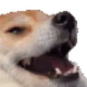 dogekek emote