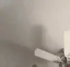 catPunch emote