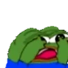 peepoScared emote
