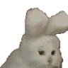 Yeat emote