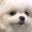 dogHeh