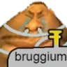 Bruggium emote