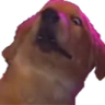 AthenaMonkaS emote