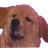 FeelsAthenaMan emote