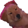 AthenaSleeper emote