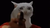 DONTSHOOT emote