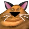 KOTUMBA emote