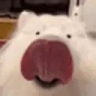 LICKA emote